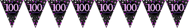 Pink Celebration 100 Birthday Prismatic Pennant Banner