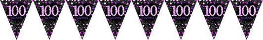 Pink Celebration 100 Birthday Prismatic Pennant Banner