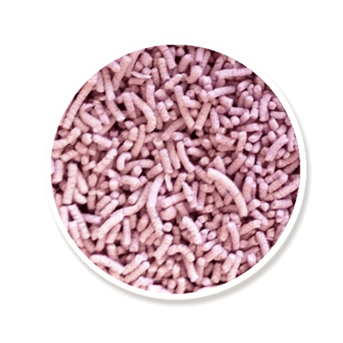 Mauve Topping Jimmies Sprinkles