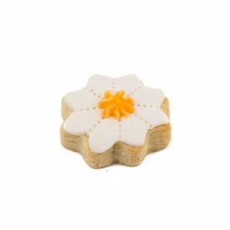 Daisy_Mini_Cookie_Decorated2