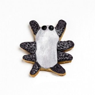 Spider_Decorated_Cookie2