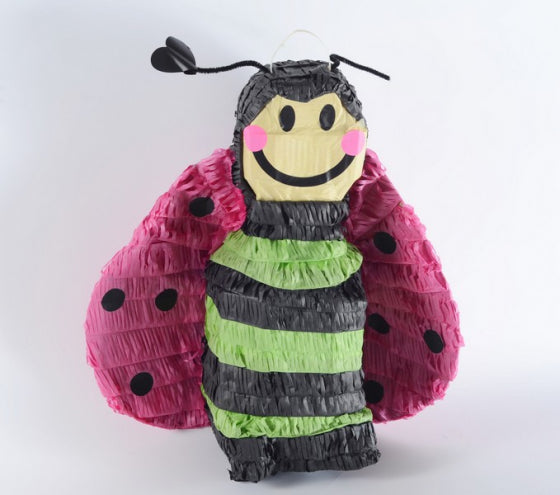 Bee Pinata Birthday Party Supplies