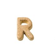 Letter R Stainless Steel Cookie Cutter